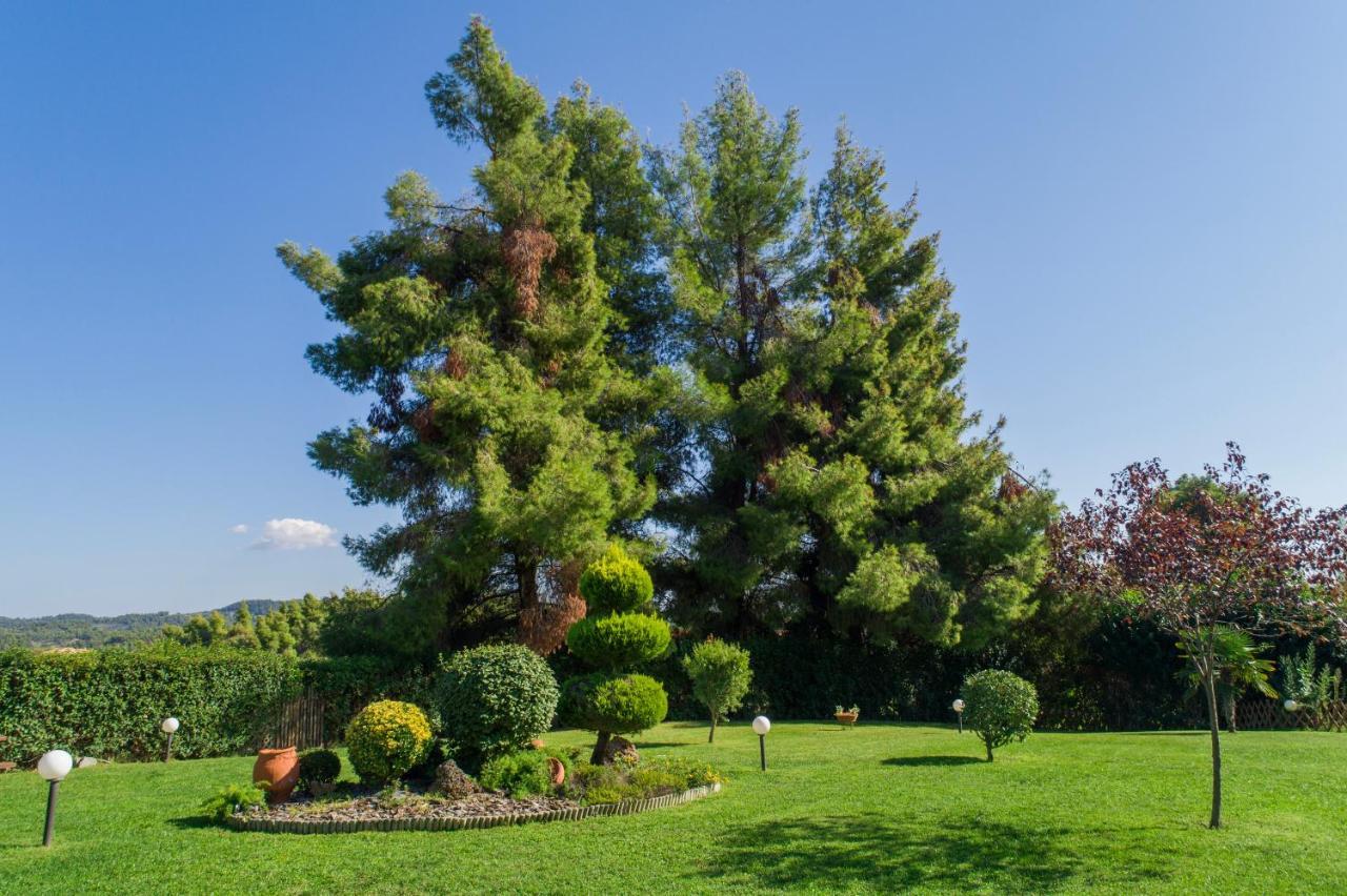 Villa Katerina Siviri Dış mekan fotoğraf